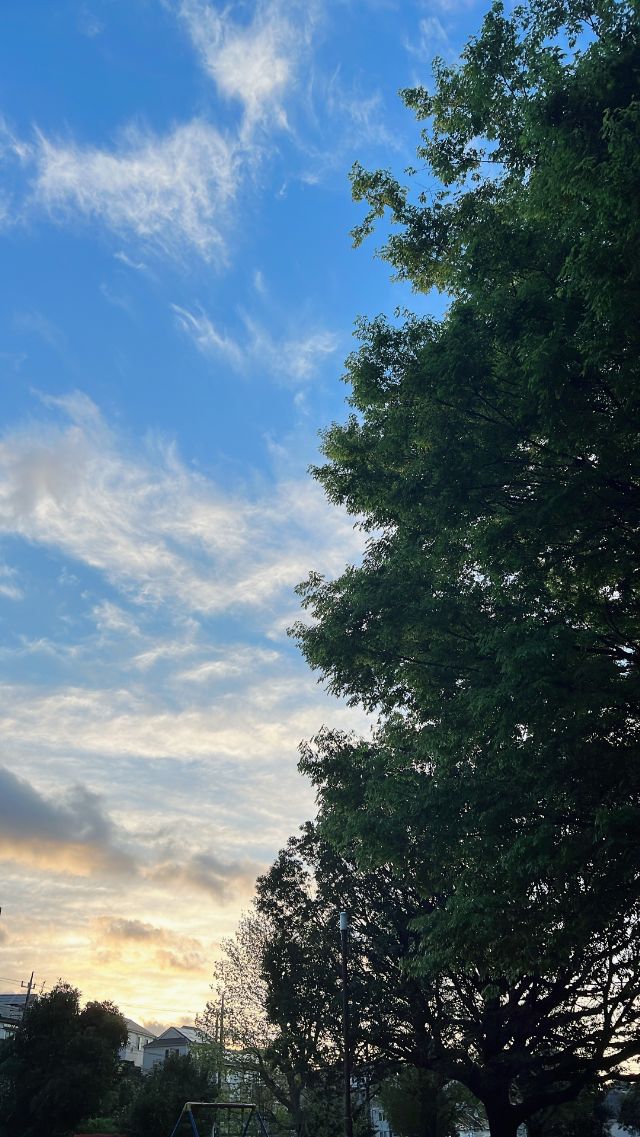 朝焼けの空